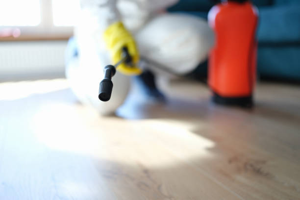 Best Environmental Consulting for Mold Prevention  in North Port, FL