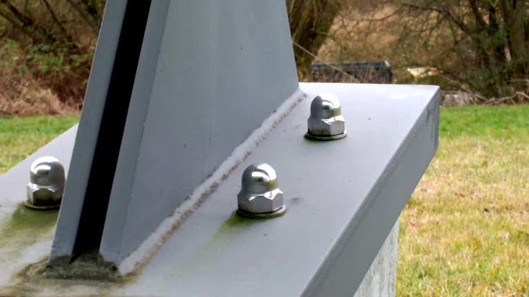 Best Industrial Mold Remediation  in North Port, FL